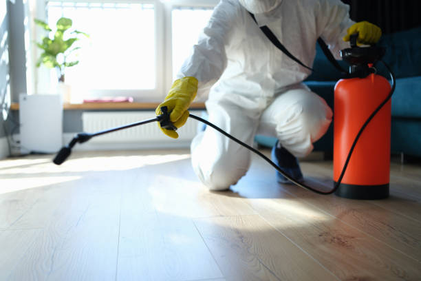 Pest Control Cost in St Maries, ID