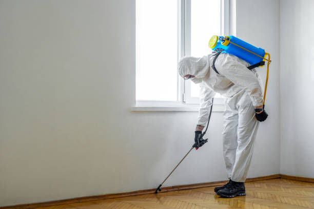 Best Flea Control Services  in St Maries, ID