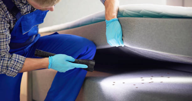 Best Pest Control for Businesses  in St Maries, ID